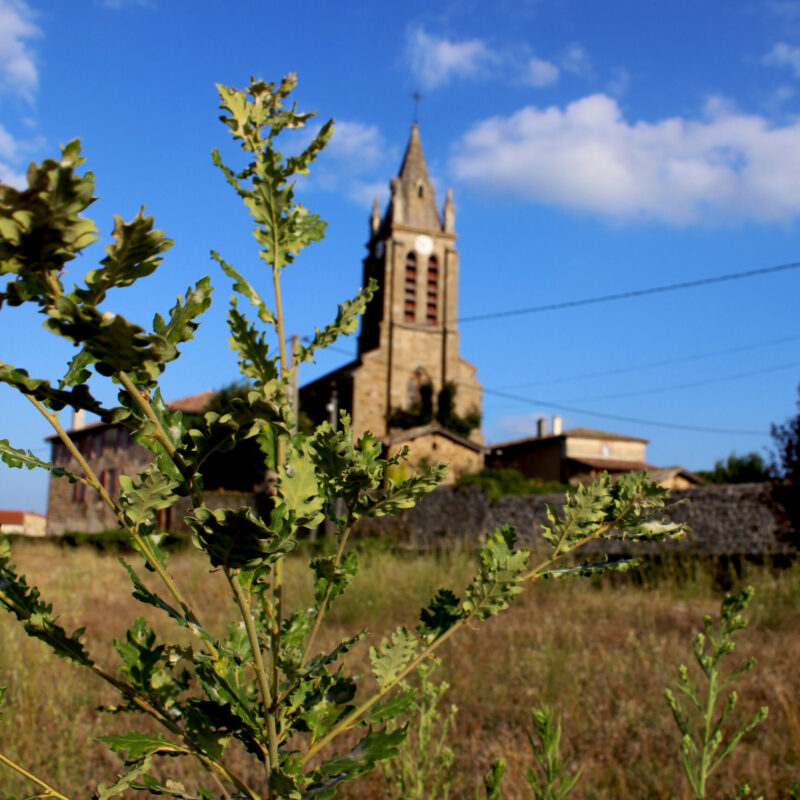 Paroisse